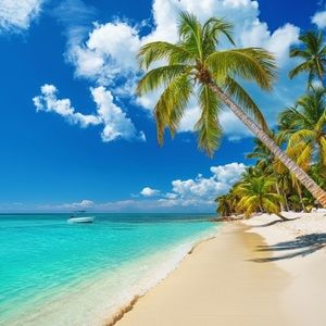 Meet your Posher, Kenia